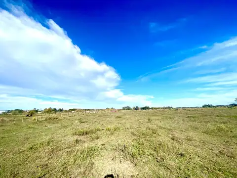 Terreno en Venta de 5000,0 m2