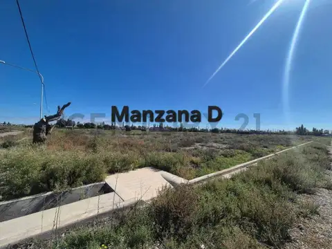 Paraguay y calle Proyectada 100, Piso 0