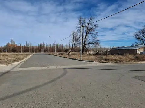 Terreno en Venta en Plottier, USD 22.000