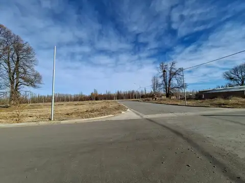 BATILANA  PLOTIER 1500