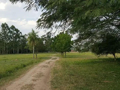 Terreno en Venta 299  mts Fondo