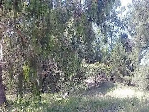 Terreno - Venta - Argentina, Villa Gesell - Av Buenos Aires 2000