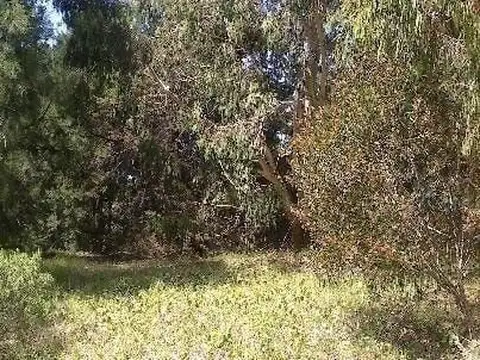 Terreno en Venta de 630,0 m2