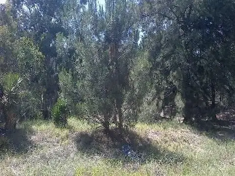 Av Buenos Aires 2000