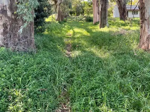 Open Door - Partido de Luján- Ruta 6