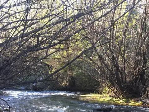 Terreno en Venta de 75000,0 m2