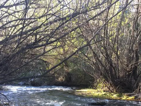 Terreno en Venta de 75000,0 m2