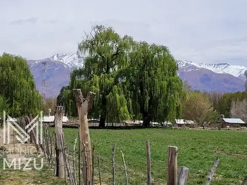 Terreno en Venta de 12400,0 m2