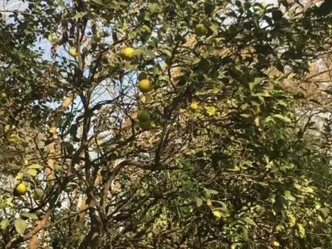 Terreno en Venta de 15464,0 m2