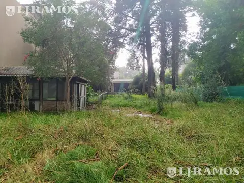 Local en Venta A Estrenar