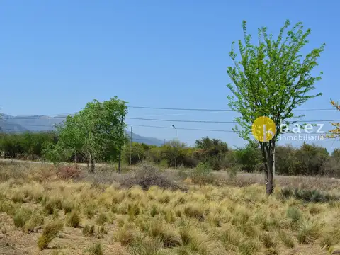 Terreno en Venta en Carpinteria, USD 60.000