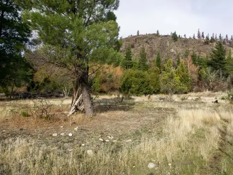 Terreno en Venta de 5000,0 m2