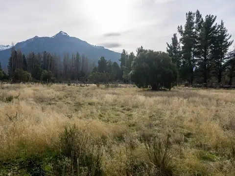 Terreno en Venta de 5000,0 m2