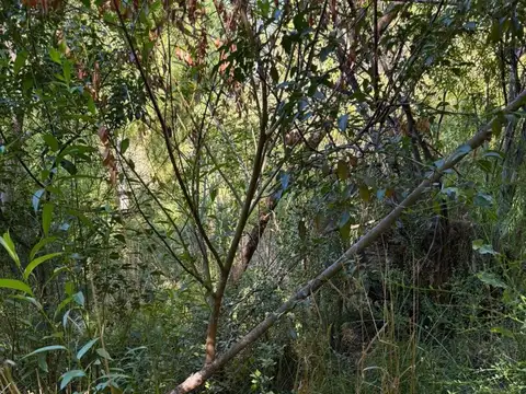 Pasaje La rinconada 6000