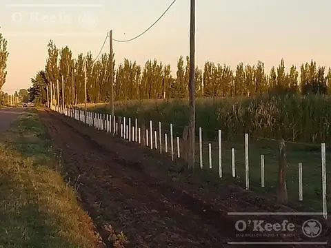 Chacra de 26 has en Mendoza, Gral Alvear.  hoteleria de animales y producción Forrajera.