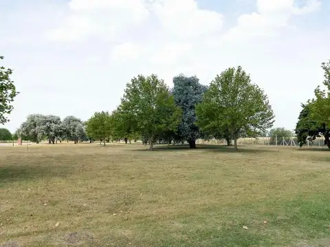 Terreno en Venta de 1000,0 m2