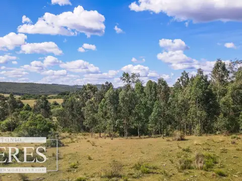 Campo de 19 ha al norte de José Ignacio con arroyo