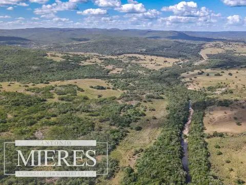 Campo de 19 ha al norte de José Ignacio con arroyo