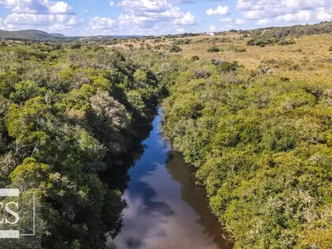 Campo de 19 ha al norte de José Ignacio con arroyo