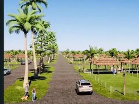 Mar Del Plata Y Lobos