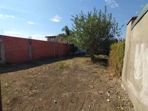 Galpon en Alquiler 37  mts Fondo