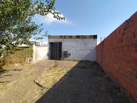 Galpon en Alquiler 10  mts Frente