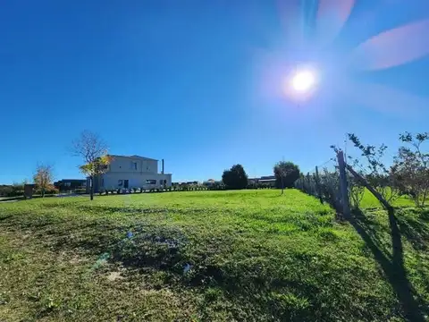 VENTA DE TERRENO MUY BIEN UBICADO EN MEDAL COUNTRY CLUB