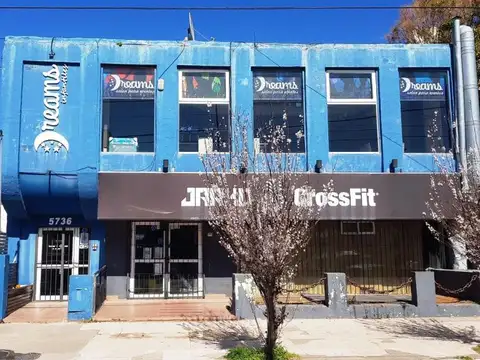 Local en  Constitución