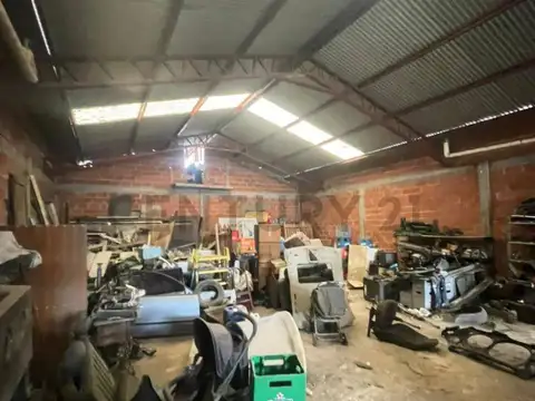 adolfo sourdeaux 500