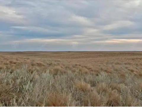 Campo en venta de 27950 has en Gral Alvear Mendoza. Armada para Cria/Recria