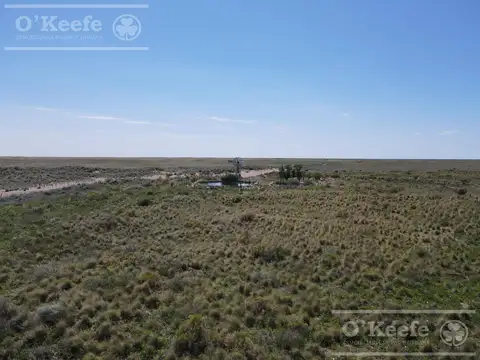 Campo en venta de 27950 has en Gral Alvear Mendoza. Armada para Cria/Recria