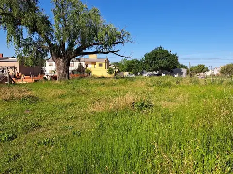 Terreno en Venta 37  mts Fondo