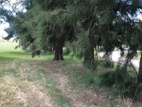 Terreno en Venta 32  mts Fondo