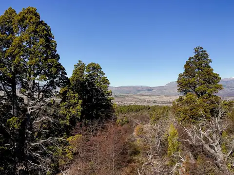 Campo en venta - 20.400Mts2 - Trevelín