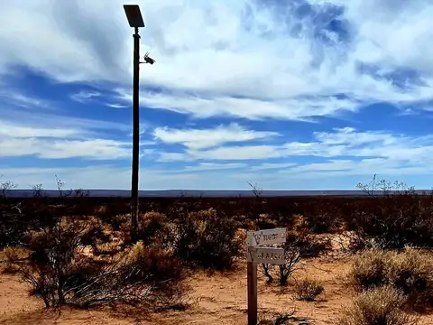 Lote de 5 ha en Pueblo Vaca Muerta - Senillosa, Neuquén