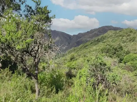 Terreno en Venta en Merlo, USD 29.000