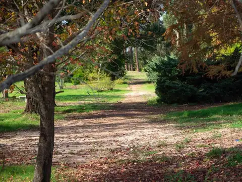 Avenida Aparicio Saravia 100