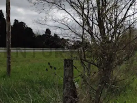 Terreno en Venta en Campos Cañuelas, USD 25.000