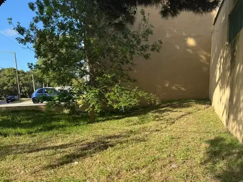 Local en Alquiler A Estrenar