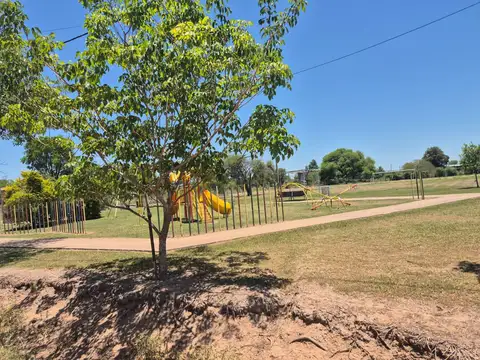 Terreno en Venta 40  mts Fondo