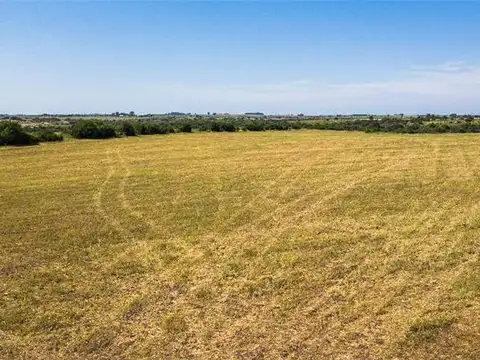 Campo en Venta Agricola