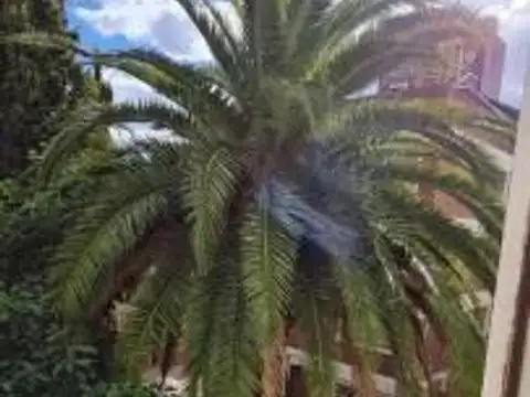 Departamento en Alquiler Temporal de 3 ambientes