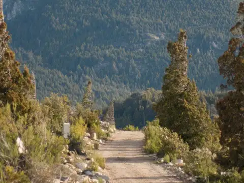 Terreno en Venta de 10312,0 m2