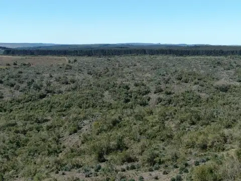CAMPO EN VENTA AIGUA FORESTAL