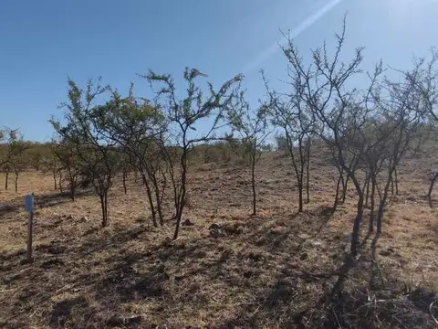 Terreno en Venta en Villa Rumipal, USD 15.000