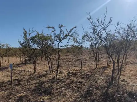 Terreno en Venta de 700,0 m2