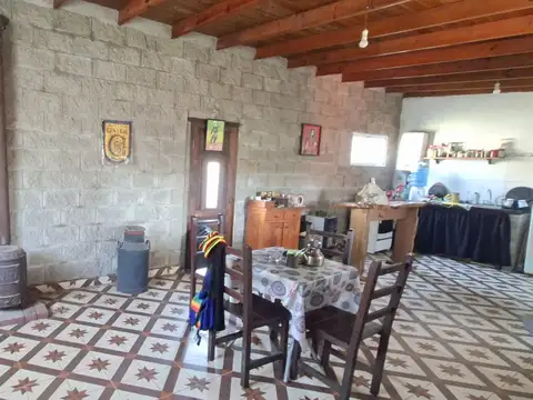 RITA A DE IBARLUCEA 4700