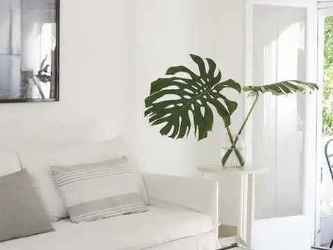 Ruggieri entre Las Heras y Cabello