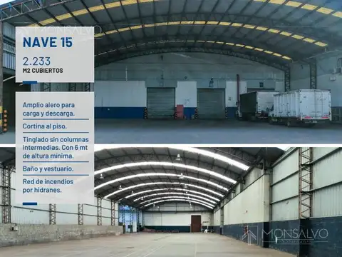 Manuel A. Ocampo  al 1100