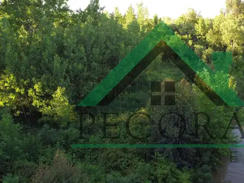 Rio Panara al 72000 - Belen de Escobar